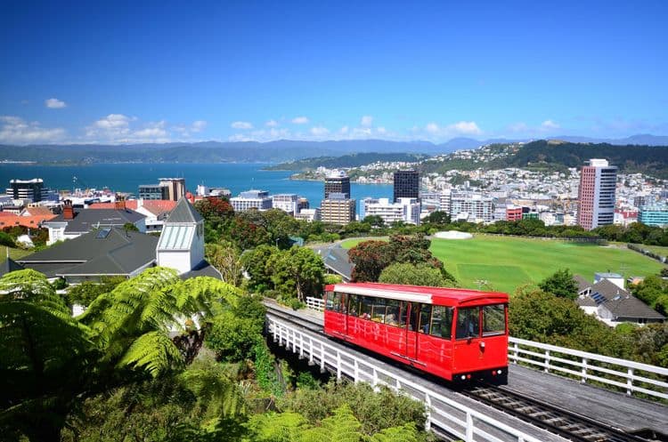 Exclusive opportunities in wonderful Wellington