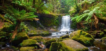 Locum lifestyle in Tasmania