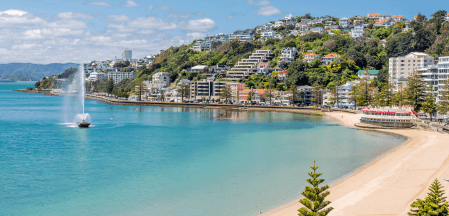 Doctors in Wellington