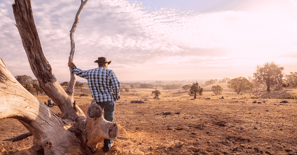 Rural Generalist locum