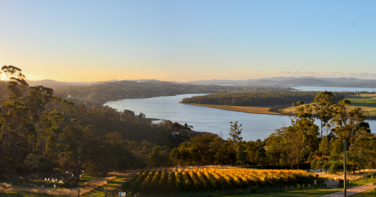 Registrars are earning more in Tasmania