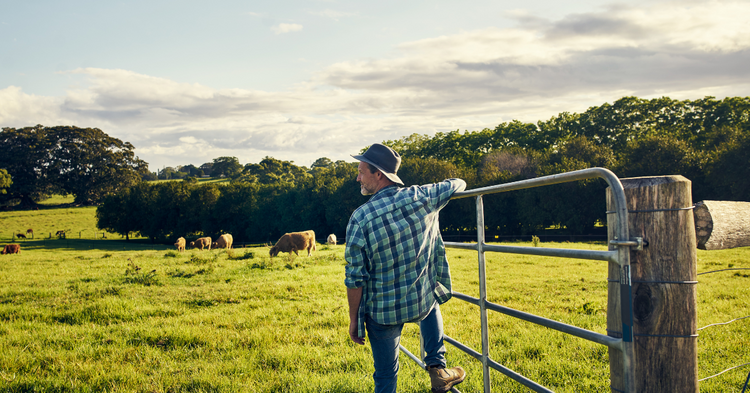 What is the Rural Doctors Network
